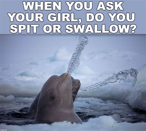 swallow memes|Swallow Spit GIFs